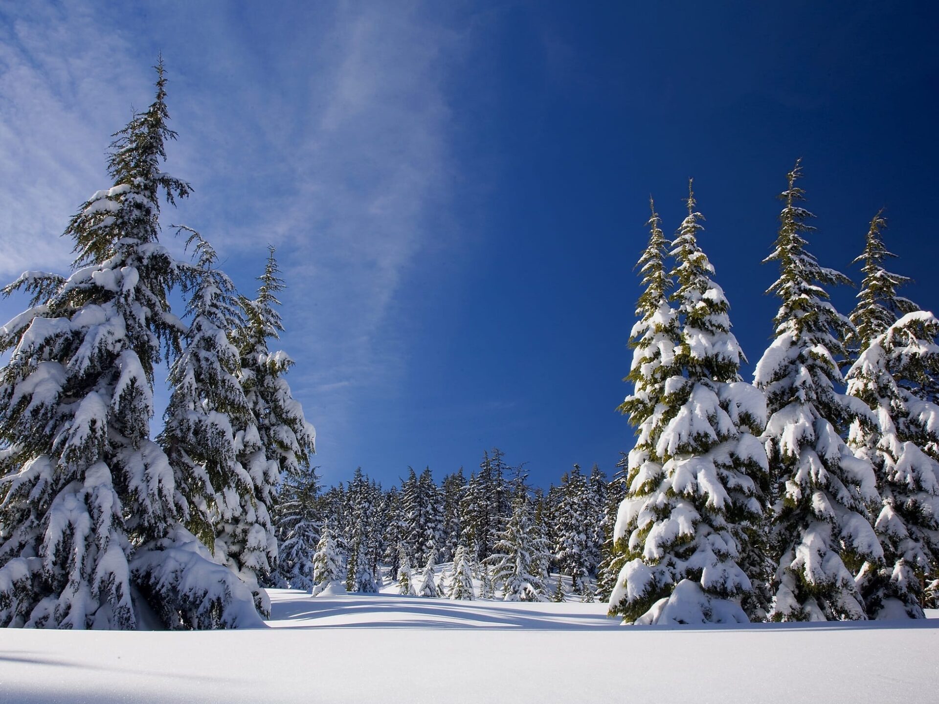 Is Your Home Ready for Winter?