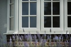 Georgian Doube Glazed Window