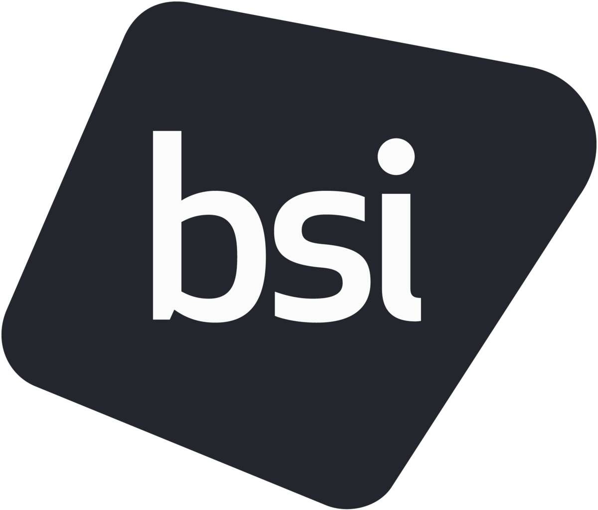 coral windows and bsi - bsi logo (white writing on squoblong)