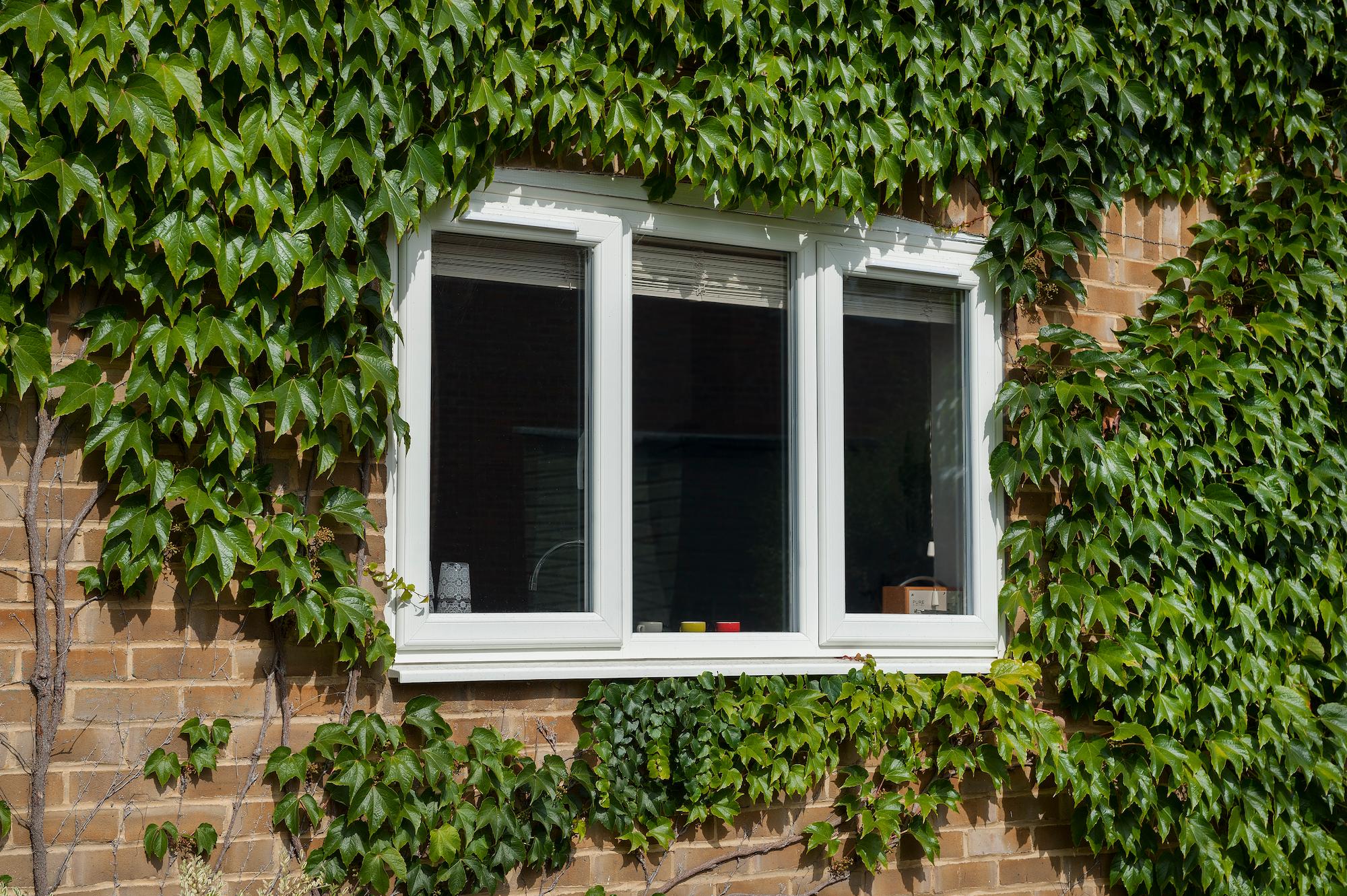Upvc Casement Windows in York